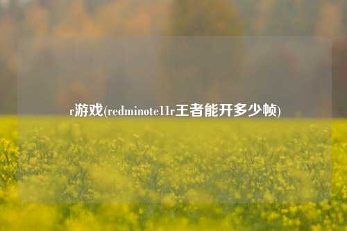  r游戏(redminote11r王者能开多少帧)