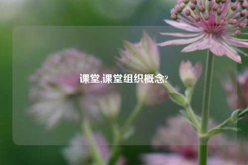 课堂,课堂组织概念?