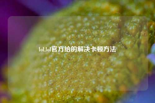 lol,lol官方给的解决卡顿方法
