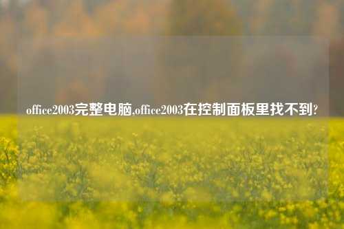 office2003完整电脑,office2003在控制面板里找不到?