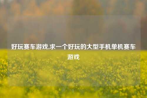 好玩赛车游戏,求一个好玩的大型手机单机赛车游戏