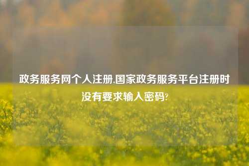 政务服务网个人注册,国家政务服务平台注册时没有要求输入密码?