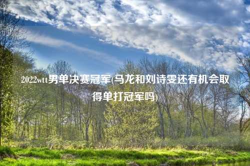 2022wtt男单决赛冠军(马龙和刘诗雯还有机会取得单打冠军吗)