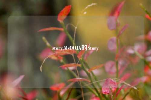 story,MsOOJA的Story
