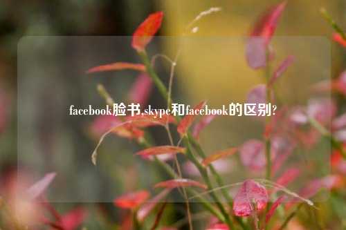 facebook脸书,skype和facebook的区别?