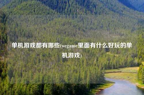 单机游戏都有哪些(wegame里面有什么好玩的单机游戏)