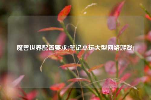魔兽世界配置要求(笔记本玩大型网络游戏)