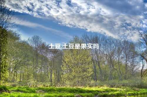 土豆,土豆是果实吗
