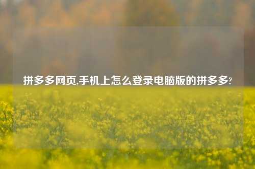 拼多多网页,手机上怎么登录电脑版的拼多多?