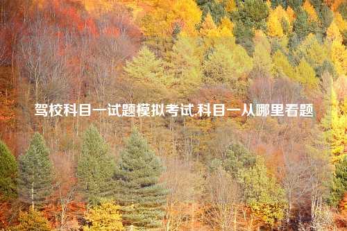 驾校科目一试题模拟考试,科目一从哪里看题