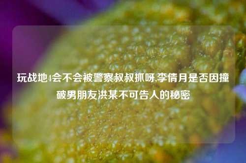 玩战地4会不会被警察叔叔抓呀,李倩月是否因撞破男朋友洪某不可告人的秘密
