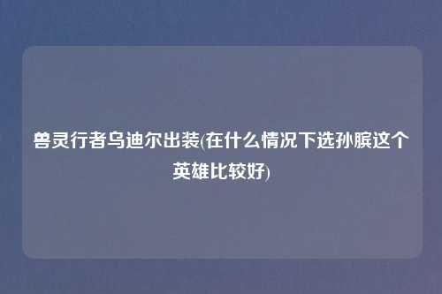 兽灵行者乌迪尔出装(在什么情况下选孙膑这个英雄比较好)