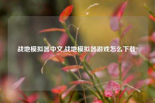 战地模拟器中文,战地模拟器游戏怎么下载?
