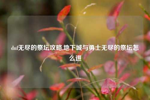 dnf无尽的祭坛攻略,地下城与勇士无尽的祭坛怎么进