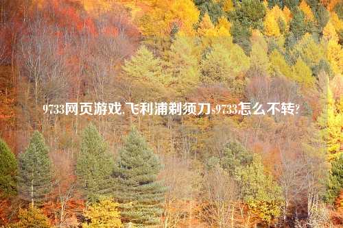 9733网页游戏,飞利浦剃须刀s9733怎么不转?