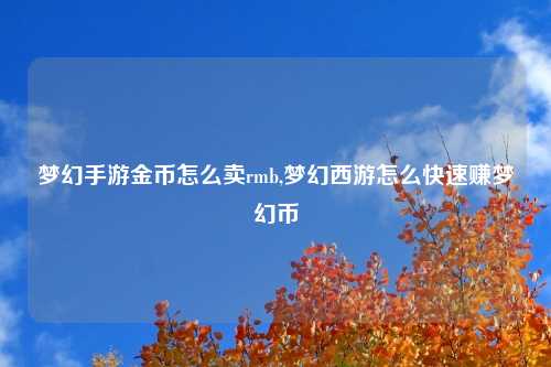 梦幻手游金币怎么卖rmb,梦幻西游怎么快速赚梦幻币