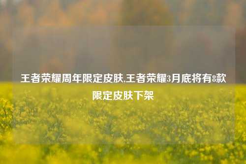 王者荣耀周年限定皮肤,王者荣耀3月底将有8款限定皮肤下架