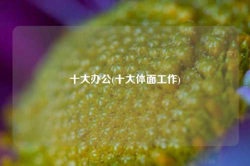 十大办公(十大体面工作)