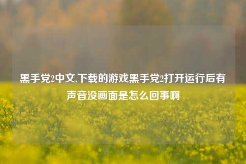 黑手党2中文,下载的游戏黑手党2打开运行后有声音没画面是怎么回事啊