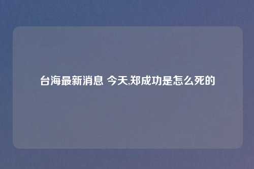 台海最新消息 今天,郑成功是怎么死的