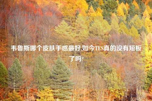 韦鲁斯哪个皮肤手感最好,如今TES真的没有短板了吗?