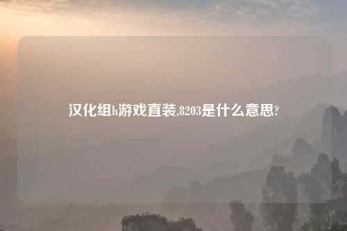 汉化组h游戏直装,8203是什么意思?