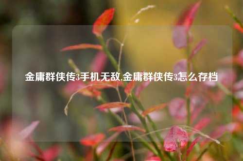 金庸群侠传3手机无敌,金庸群侠传3怎么存档