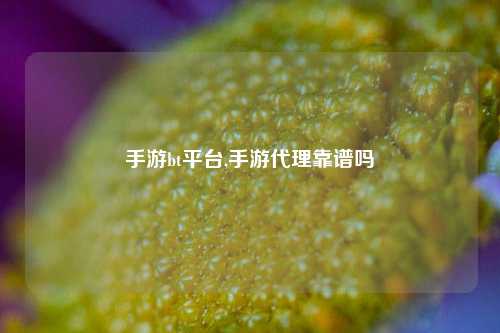 手游bt平台,手游代理靠谱吗