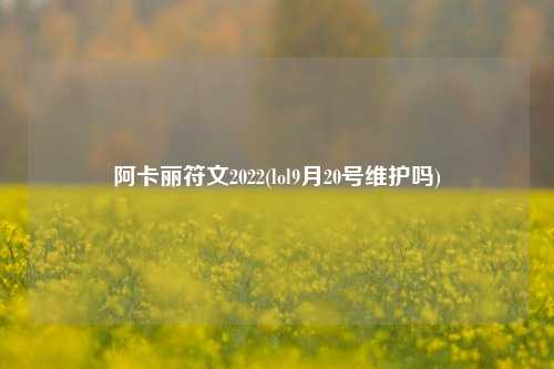 阿卡丽符文2022(lol9月20号维护吗)
