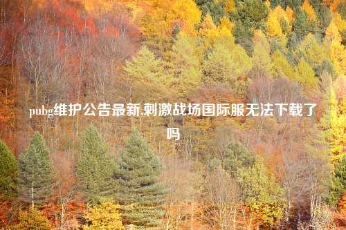 pubg维护公告最新,刺激战场国际服无法下载了吗
