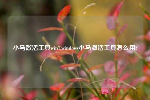 小马激活工具win7,windows小马激活工具怎么用?