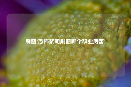 刷图(恐怖黎明刷图哪个职业厉害)