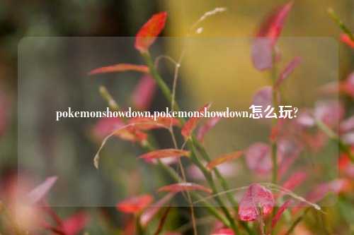 pokemonshowdown,pokemonshowdown怎么玩?