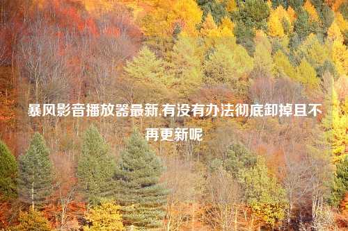 暴风影音播放器最新,有没有办法彻底卸掉且不再更新呢