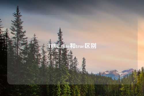 TRUE,ture和true区别