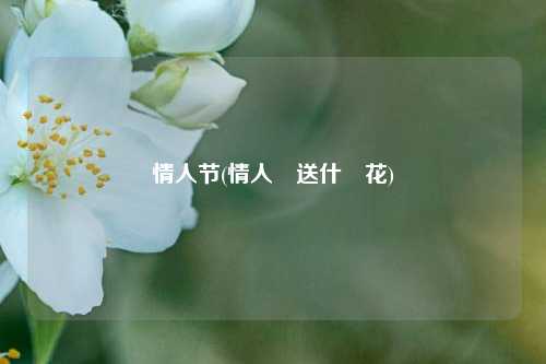 情人节(情人節送什麼花)
