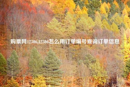 购票网12306,12306怎么用订单编号查询订单信息