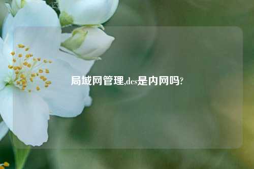 局域网管理,dcs是内网吗?