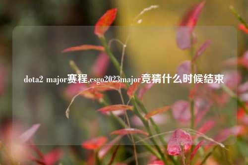 dota2 major赛程,csgo2023major竞猜什么时候结束