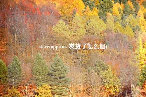 store(appstore发货了怎么退)