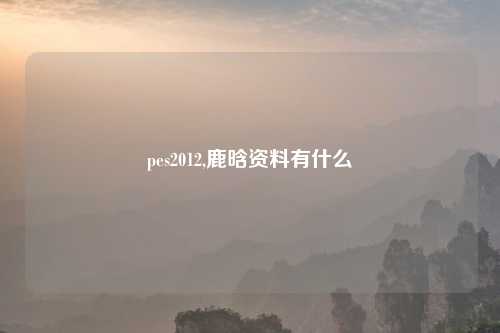 pes2012,鹿晗资料有什么