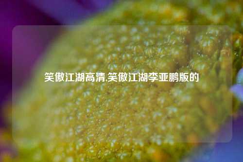 笑傲江湖高清,笑傲江湖李亚鹏版的