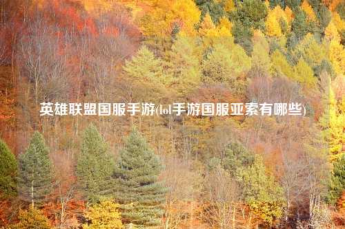 英雄联盟国服手游(lol手游国服亚索有哪些)