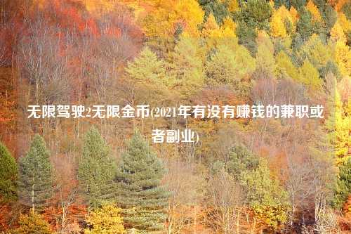 无限驾驶2无限金币(2021年有没有赚钱的兼职或者副业)