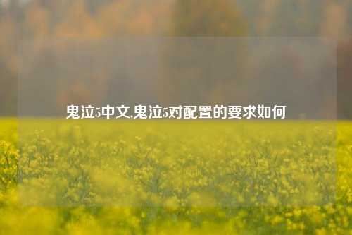鬼泣5中文,鬼泣5对配置的要求如何