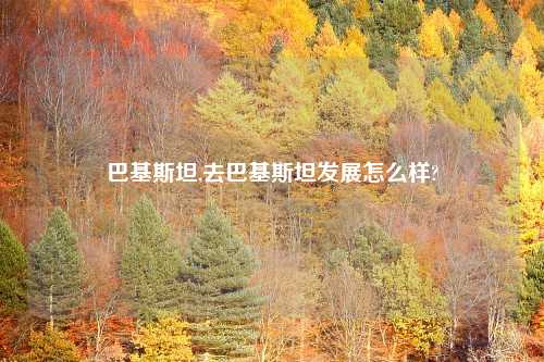 巴基斯坦,去巴基斯坦发展怎么样?