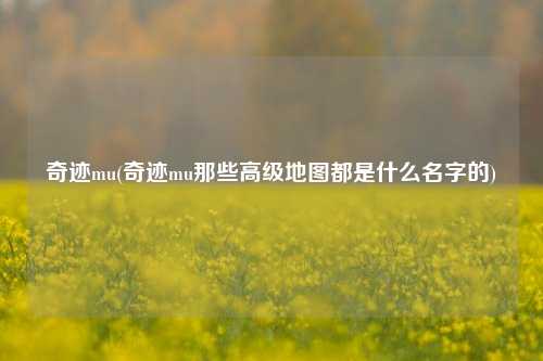 奇迹mu(奇迹mu那些高级地图都是什么名字的)