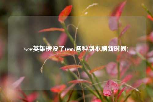 wow英雄榜没了(wow各种副本刷新时间)