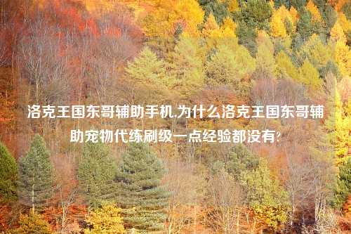 洛克王国东哥辅助手机,为什么洛克王国东哥辅助宠物代练刷级一点经验都没有?