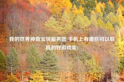 我的世界神奇宝贝服务器(手机上有哪些可以联机的好游戏呢)